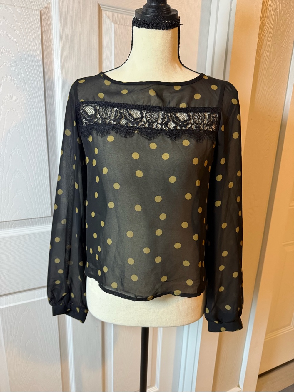 Sheer Black Polka Dot Lace Trim Sheer Blouse - Black/Gold